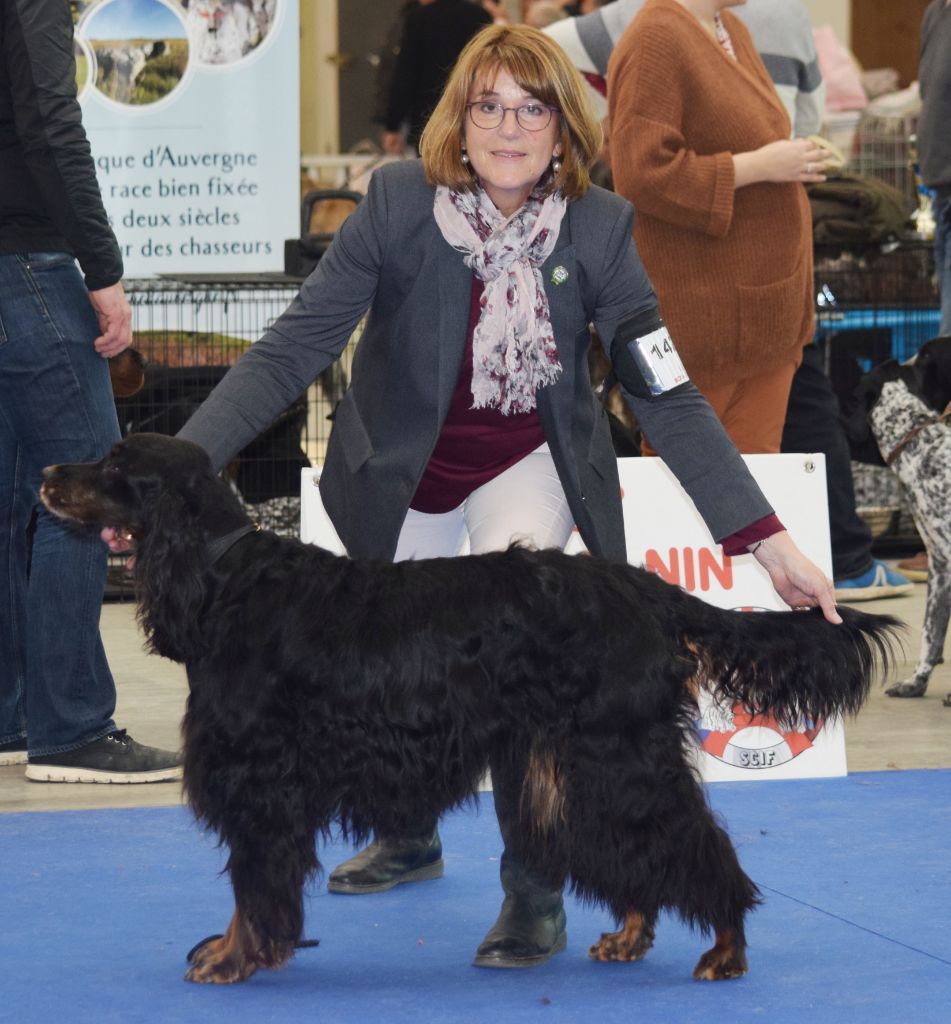 CH. Diva de cinq a sept - BOB VETERAN - 1er EXC CV