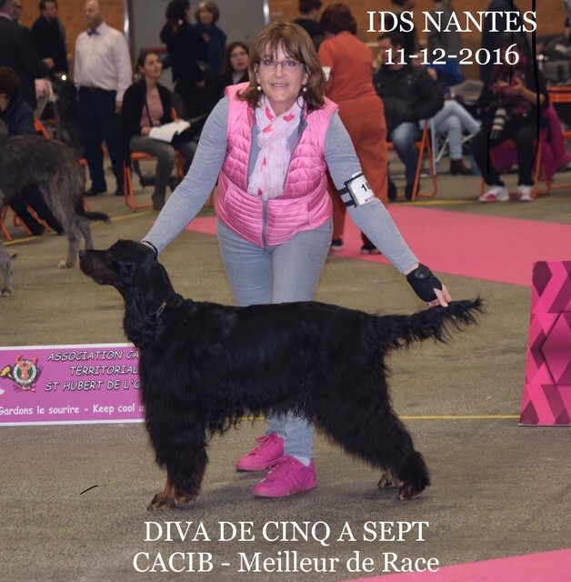 CH. Diva de cinq a sept - 1er EXC CCH - CACIB - BOB