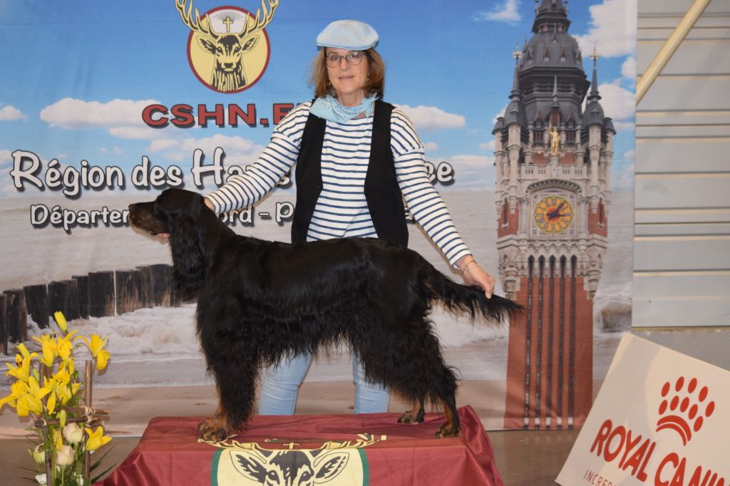 CH. Diva de cinq a sept - BOB VETERAN - 1er EXC CV