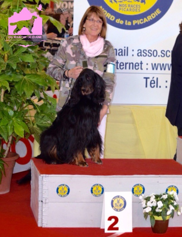 CH. Diva de cinq a sept - 1er EXC Classe Vétéran, Meilleur Vétéran et 2eme Meilleure Vétéran