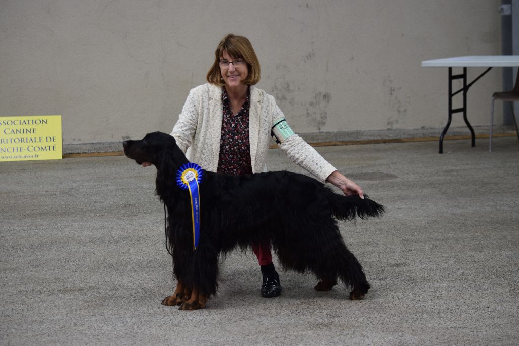 CH. Diva de cinq a sept - 1er EXC CV - Meilleur Vétéran