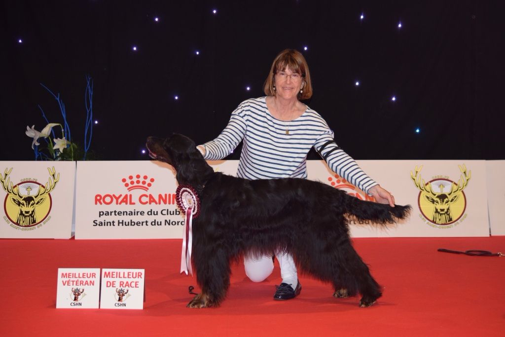 CH. Diva de cinq a sept - 1er EXC - BOB - Meilleur Vétéran- Crufts 2018