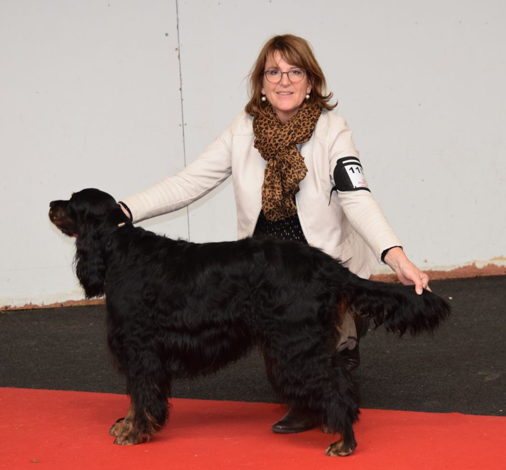 CH. Diva de cinq a sept - BOB VETERAN - 1er EXC CV