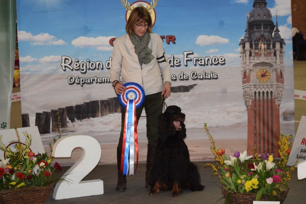 CH. Diva de cinq a sept - 2ème BEST VETERAN - BOB VETERAN- 1er EXC