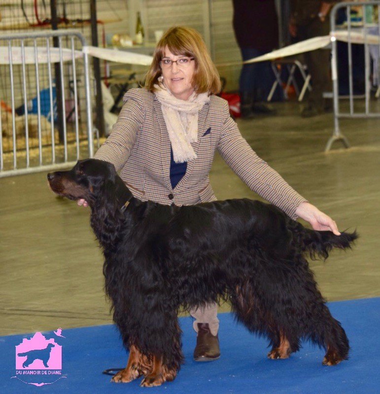 CH. Diva de cinq a sept - 1er EXC CCH - CACIB - BOB
