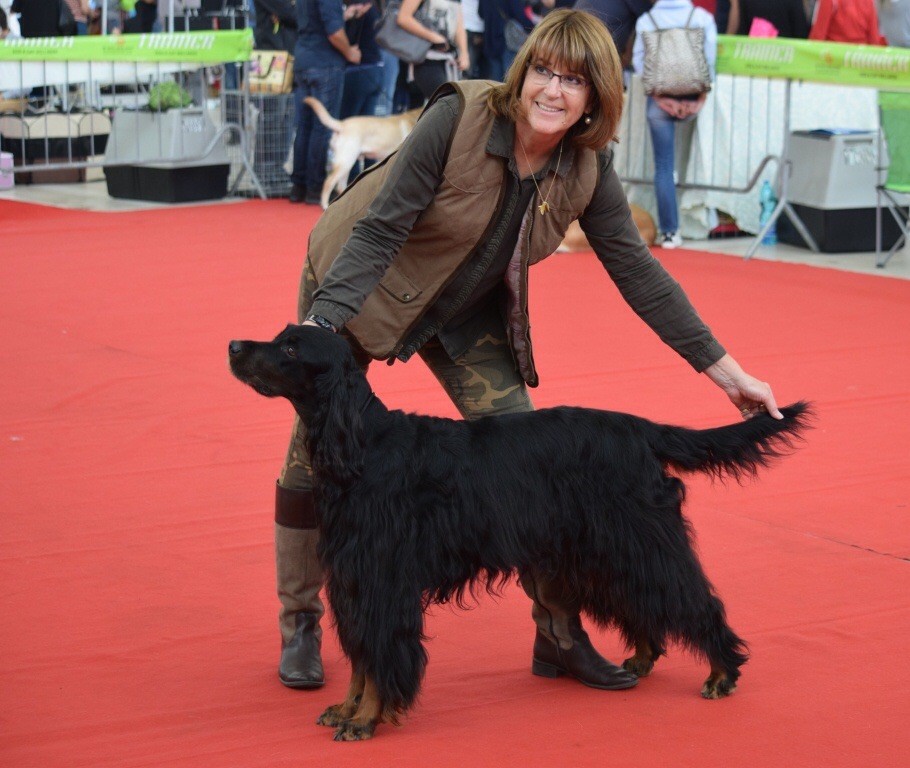 CH. Diva de cinq a sept - 1er EXC CCH - CAC - RCACIB