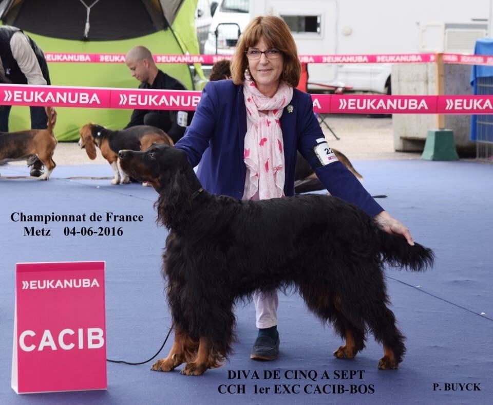 CH. Diva de cinq a sept - 1er EXC CCH - CACIB - BOS - CRUFTS 2017