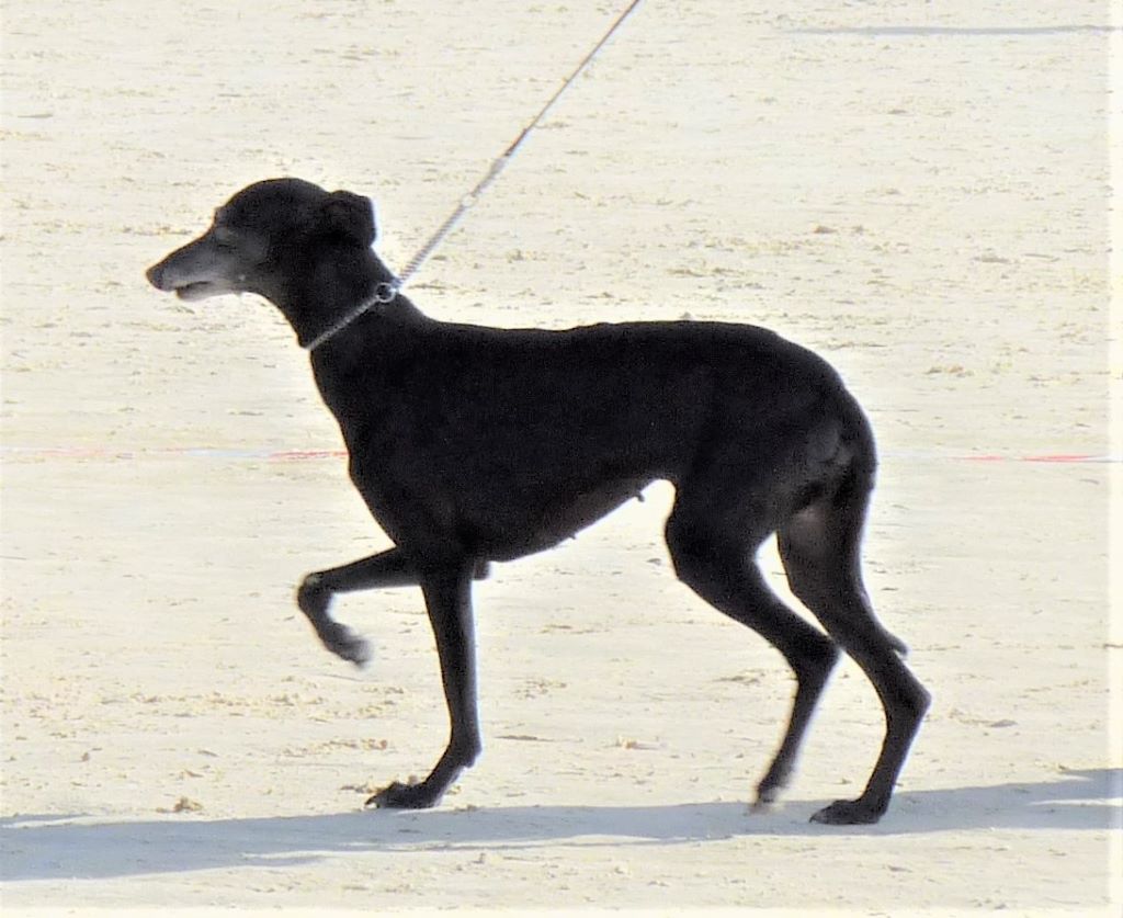 Publication : De La Ribière Des Brumes