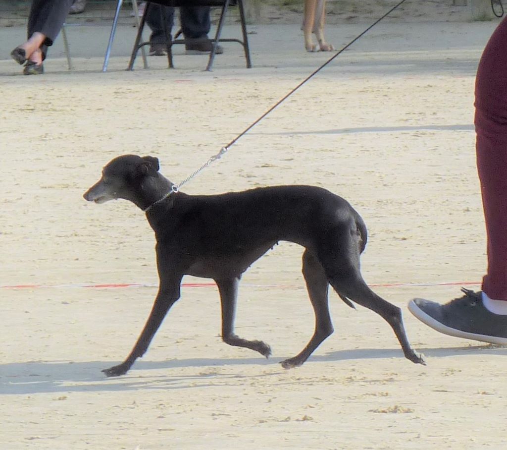 Publication : De La Ribière Des Brumes