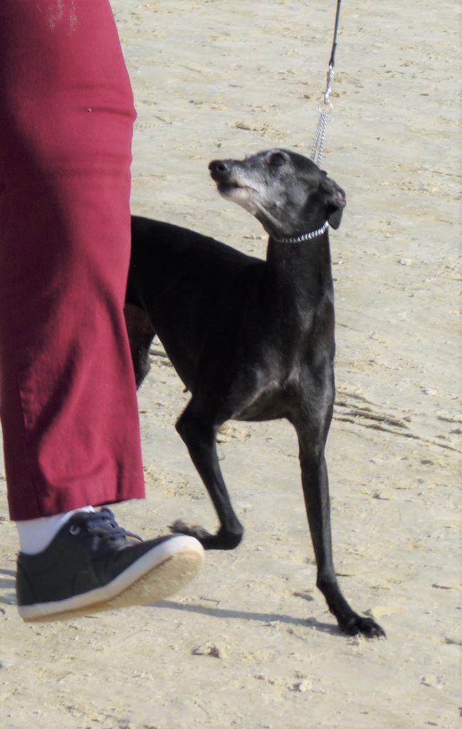 Publication : De La Ribière Des Brumes