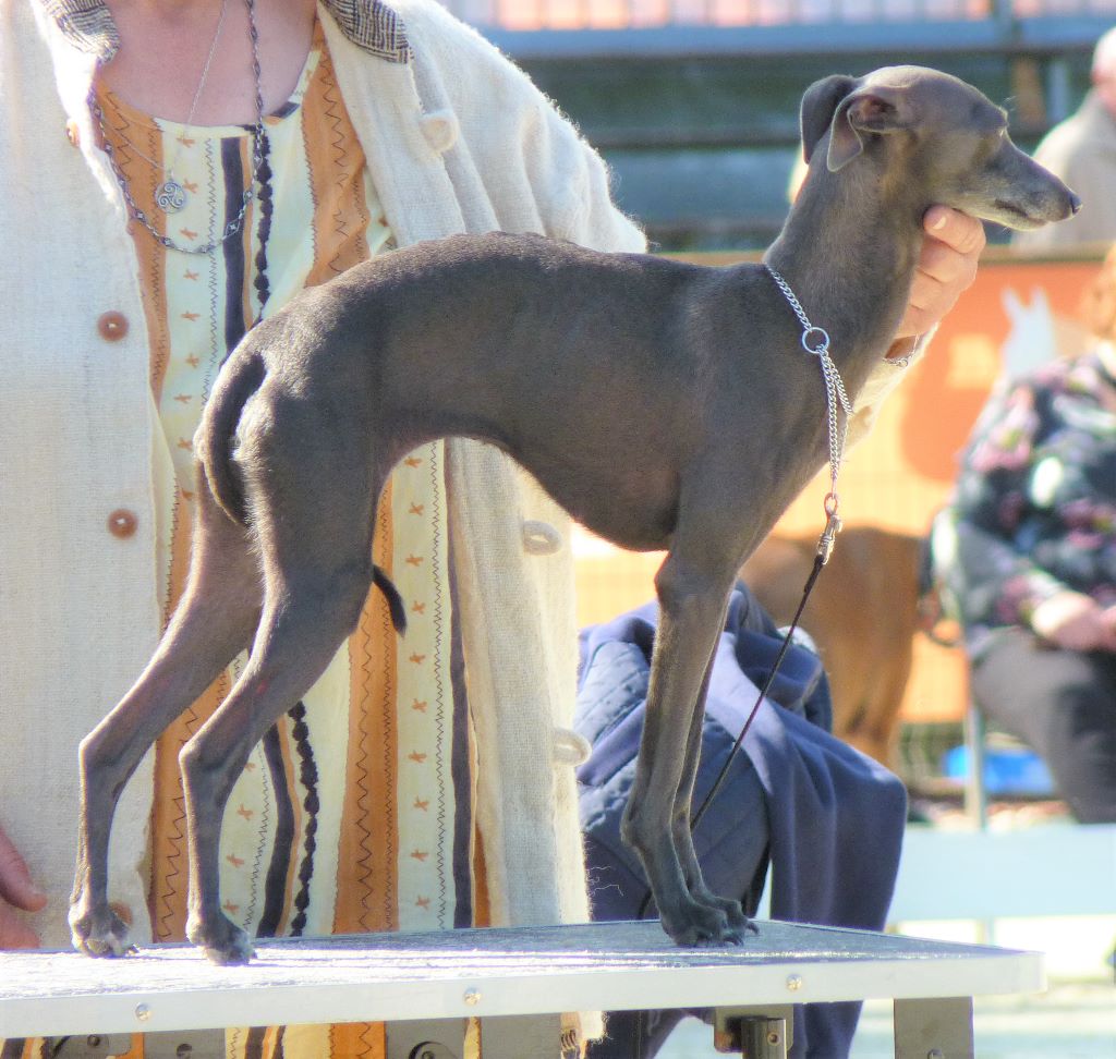 Publication : De La Ribière Des Brumes Auteur : Agnès GOUBE