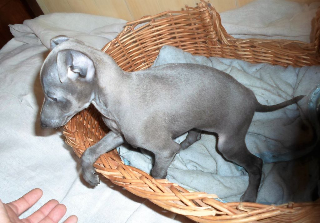 Publication : De La Ribière Des Brumes Auteur : Agnès GOUBE