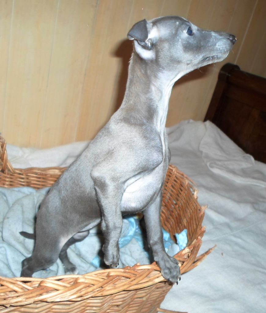 Publication : De La Ribière Des Brumes Auteur : Agnès GOUBE