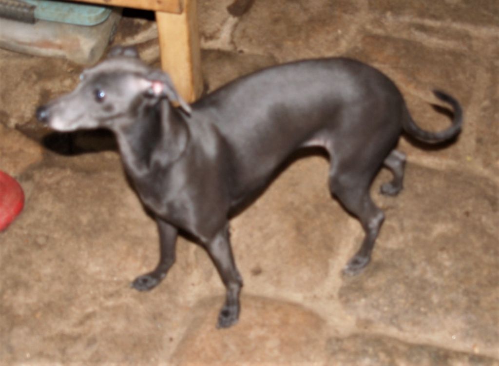 Publication : De La Ribière Des Brumes