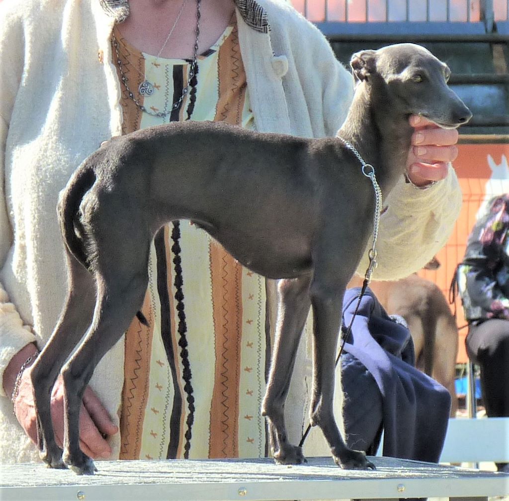 Publication : De La Ribière Des Brumes Auteur : Agnès GOUBE