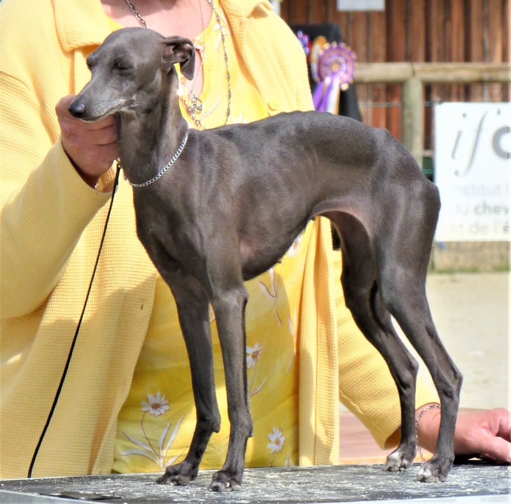 Publication : De La Ribière Des Brumes Auteur : Agnès GOUBE