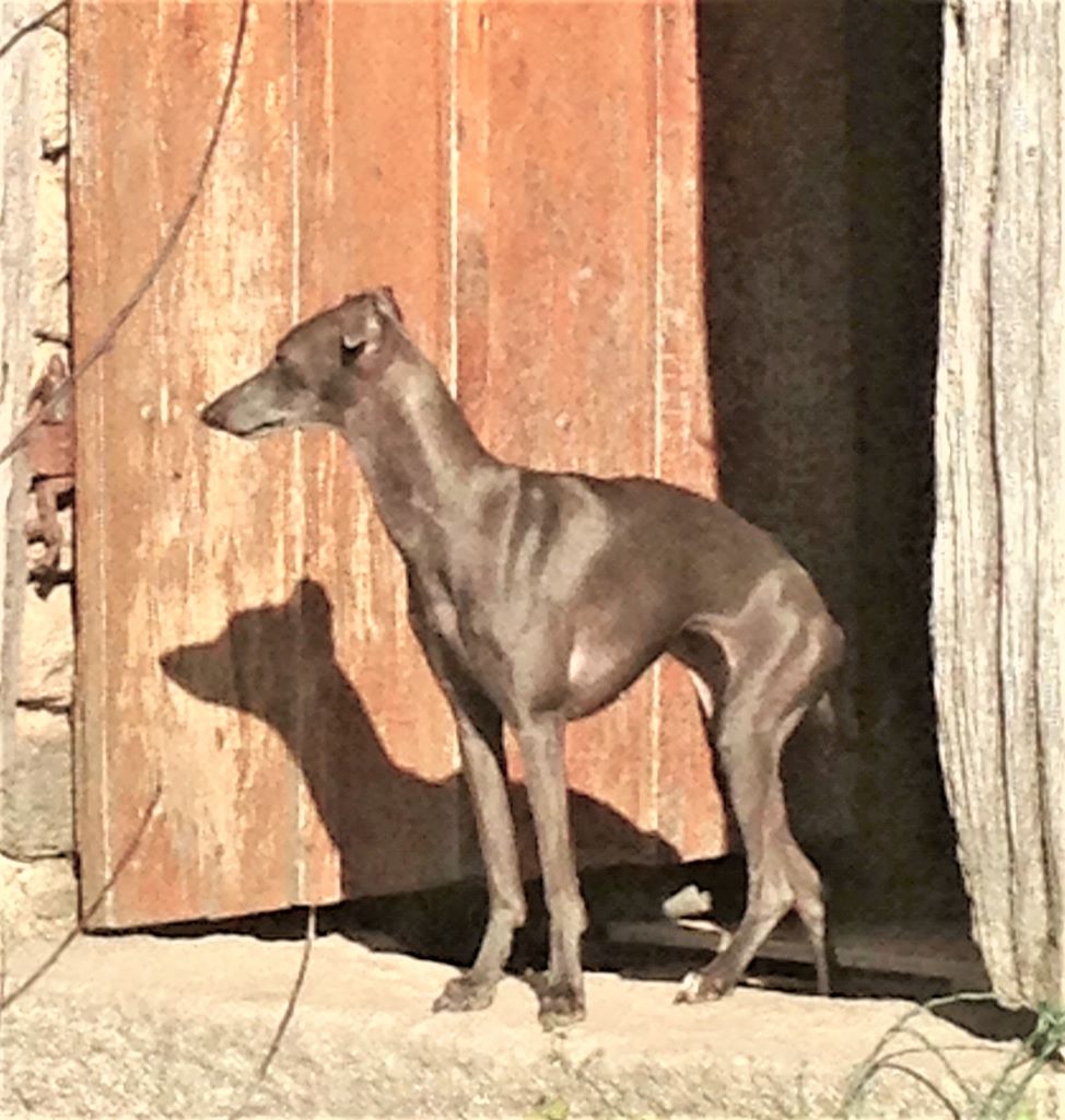 Publication : De La Ribière Des Brumes Auteur : Agnès GOUBE