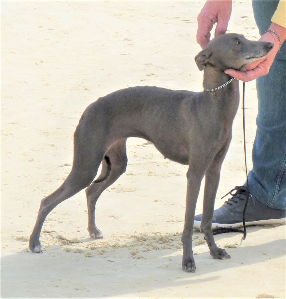 Publication : De La Ribière Des Brumes Auteur : Agnès GOUBE