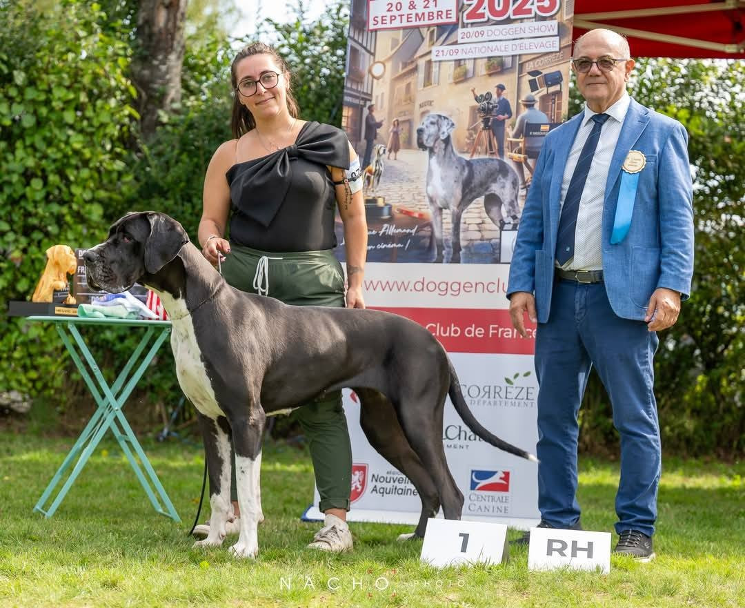 Valinor de l'Outsaïna