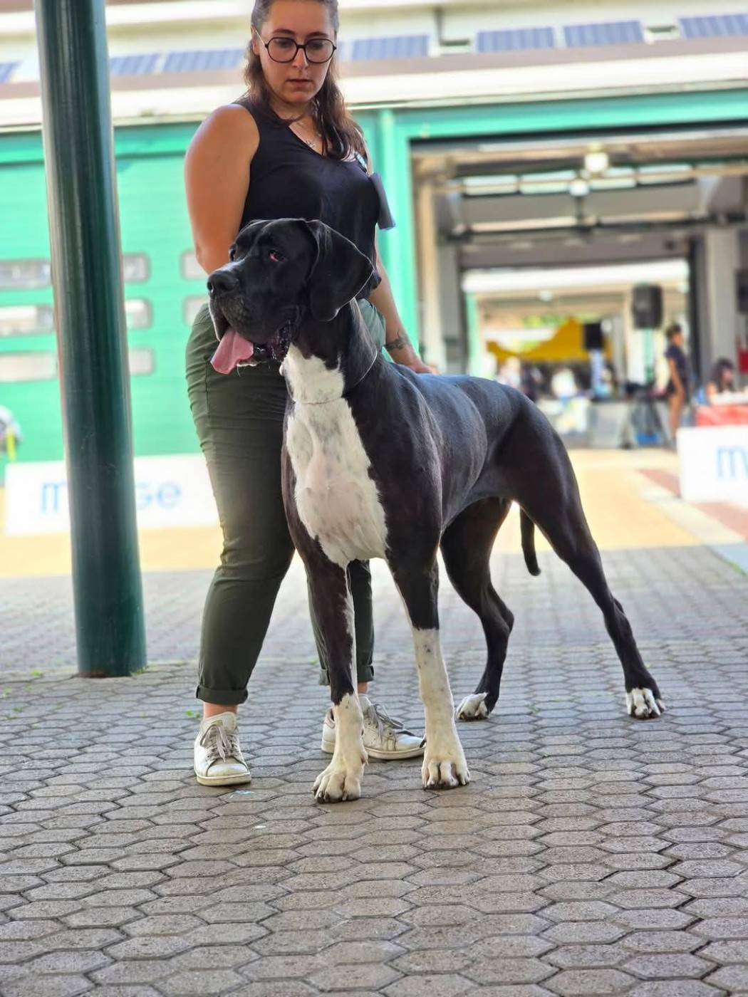 Valinor de l'Outsaïna