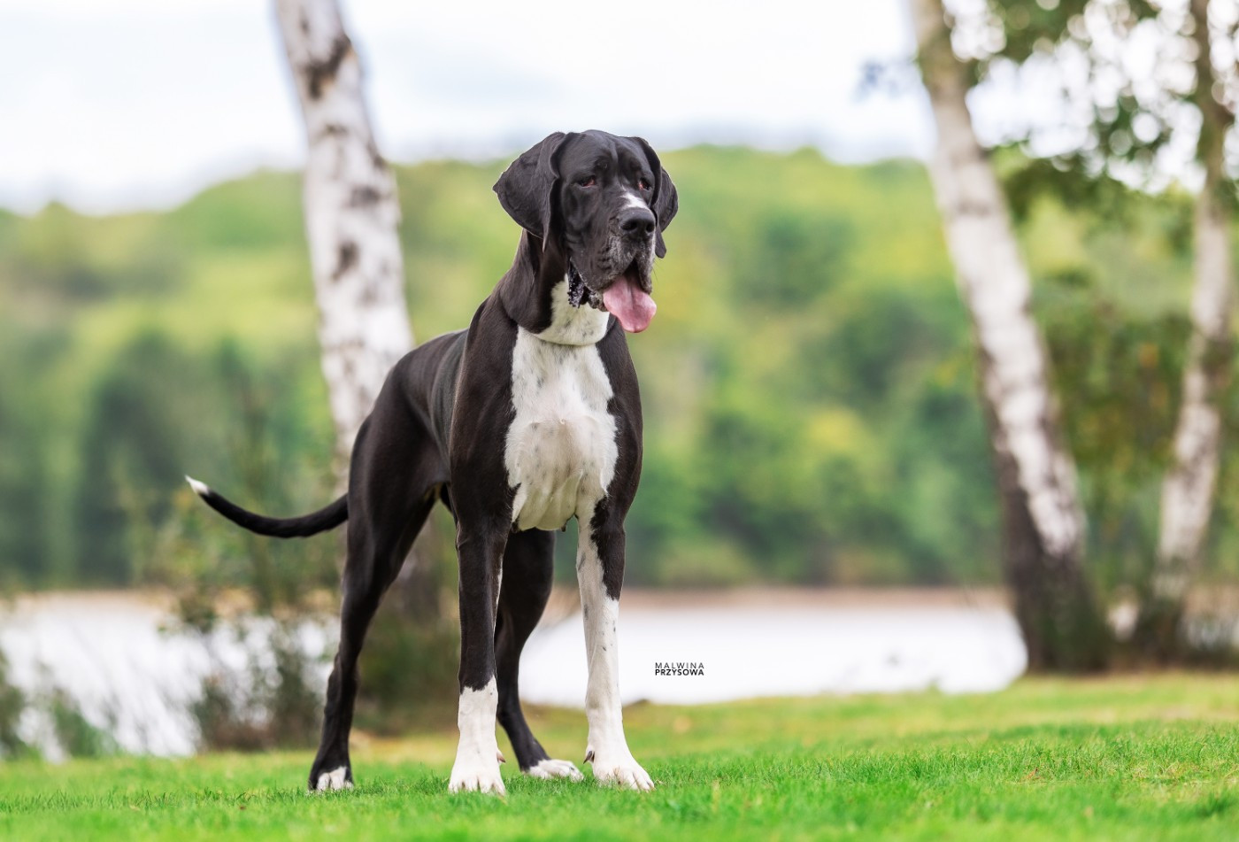 Valinor de l'Outsaïna