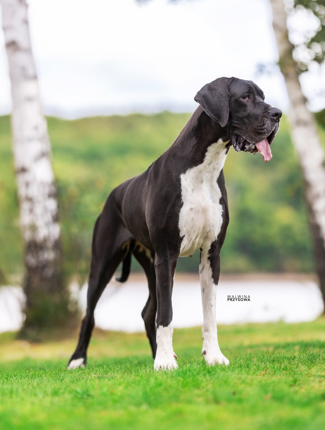 Valinor de l'Outsaïna