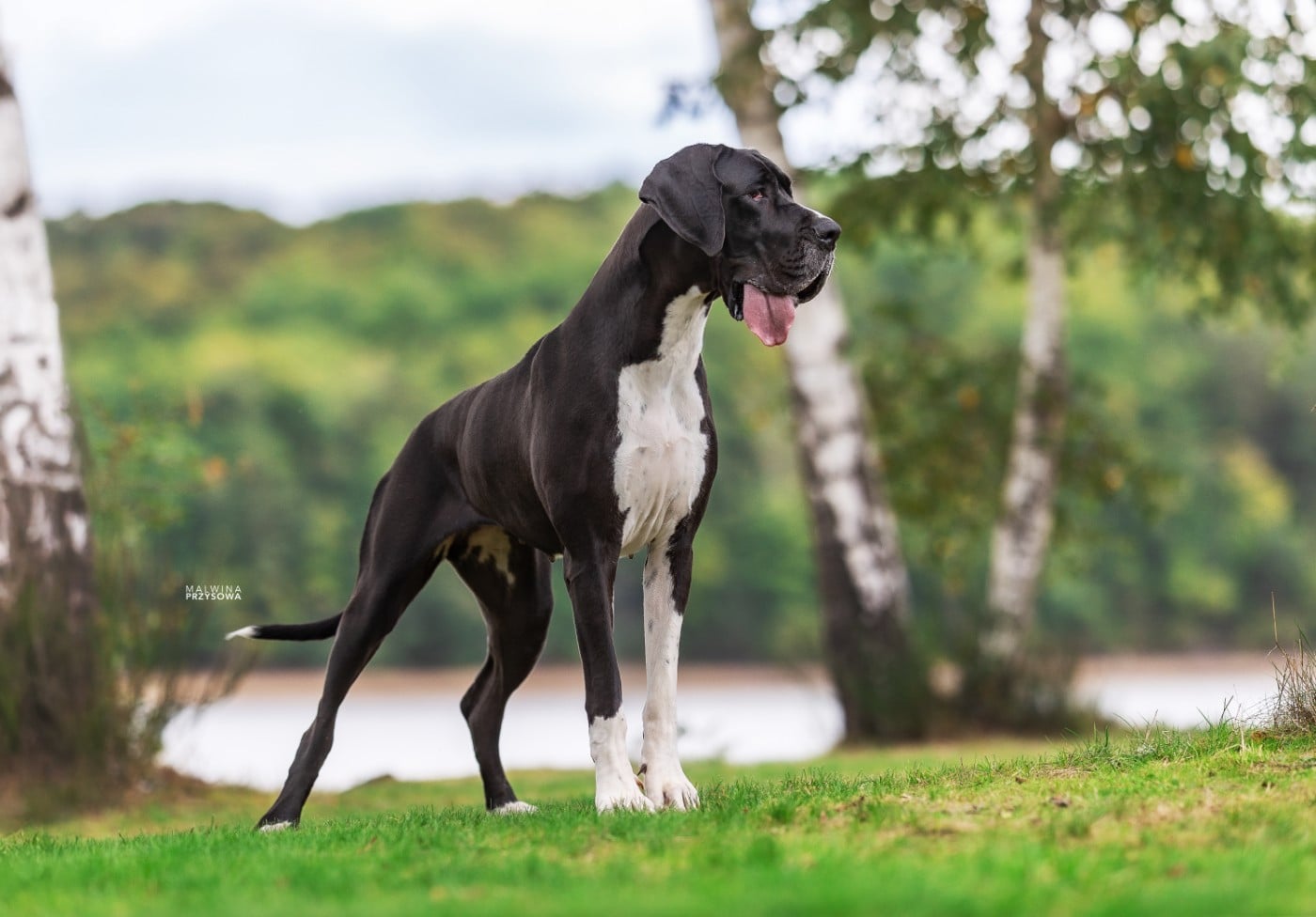 Valinor de l'Outsaïna