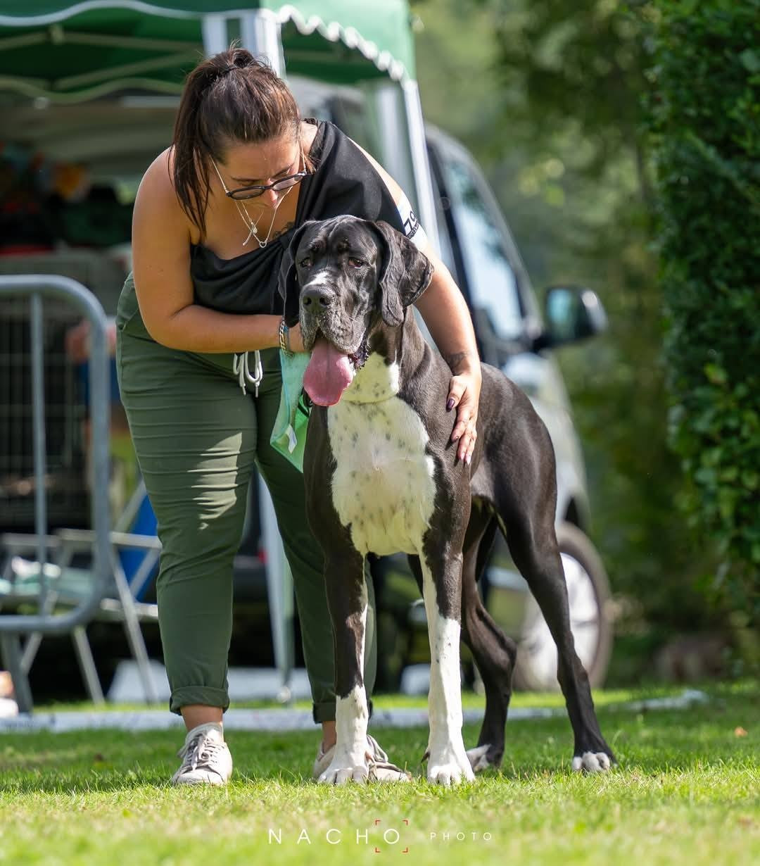 Valinor de l'Outsaïna