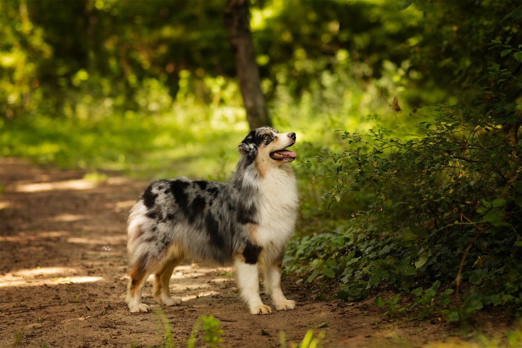 New helga Des Gardiens Du Mermoz