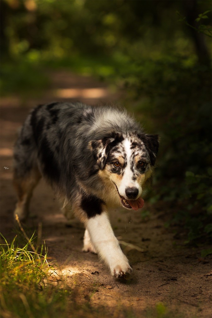 New helga Des Gardiens Du Mermoz