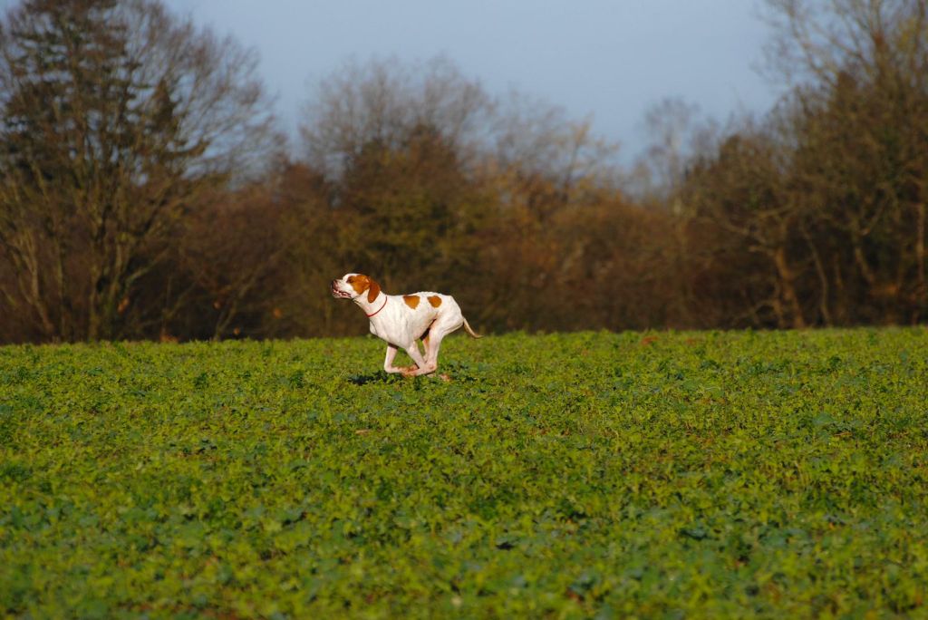 Publication : Du Clos De La Saliais