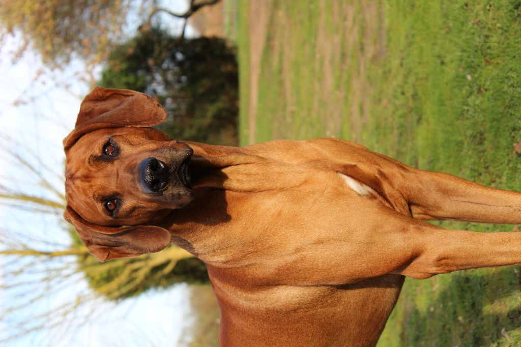 Publication : (Sans Affixe)