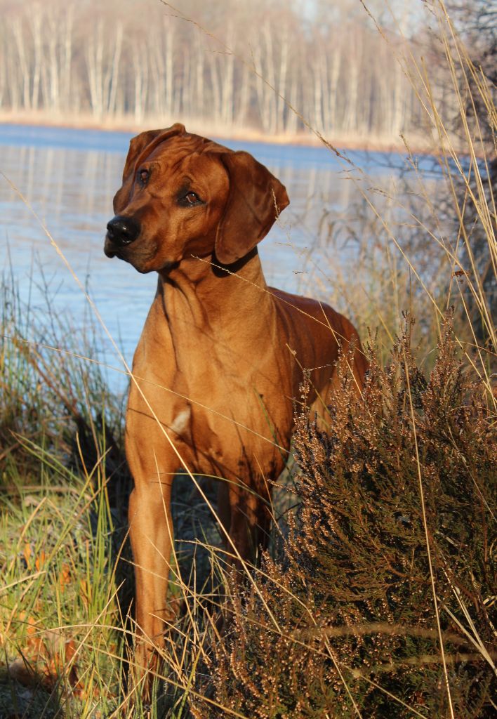 Publication : (Sans Affixe)