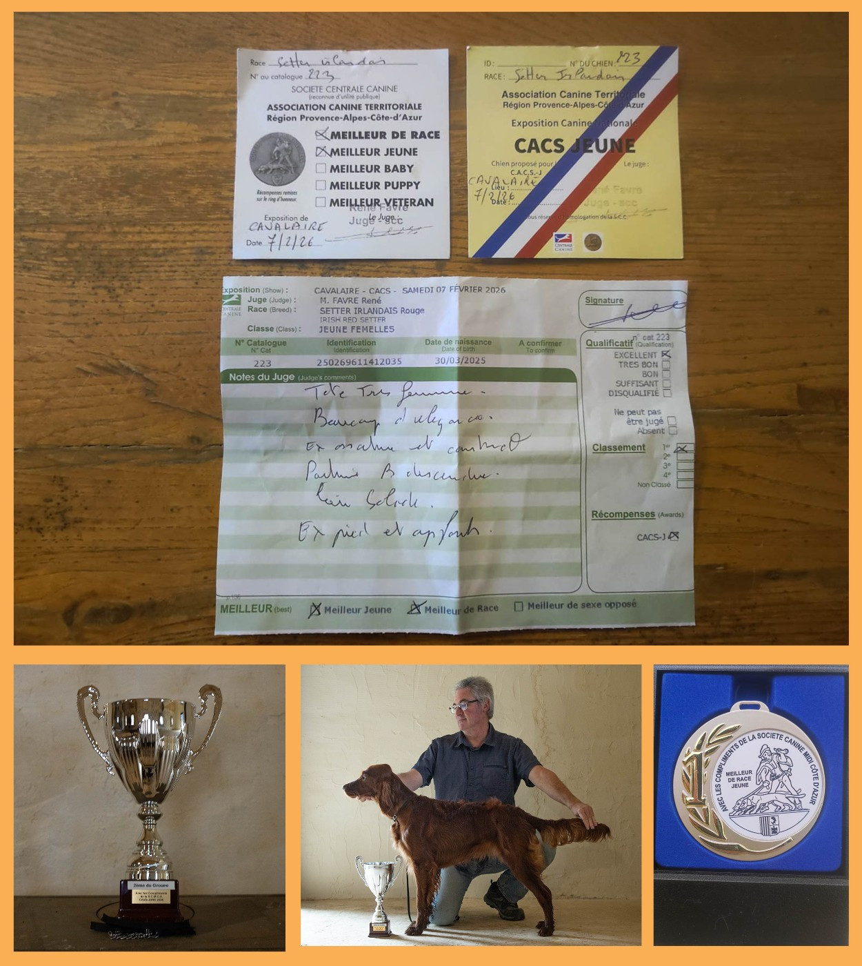 AISLINN Du Petit Bois De La Vaslière - CACS J - meilleur Jeune - meilleur de race - BOG 2