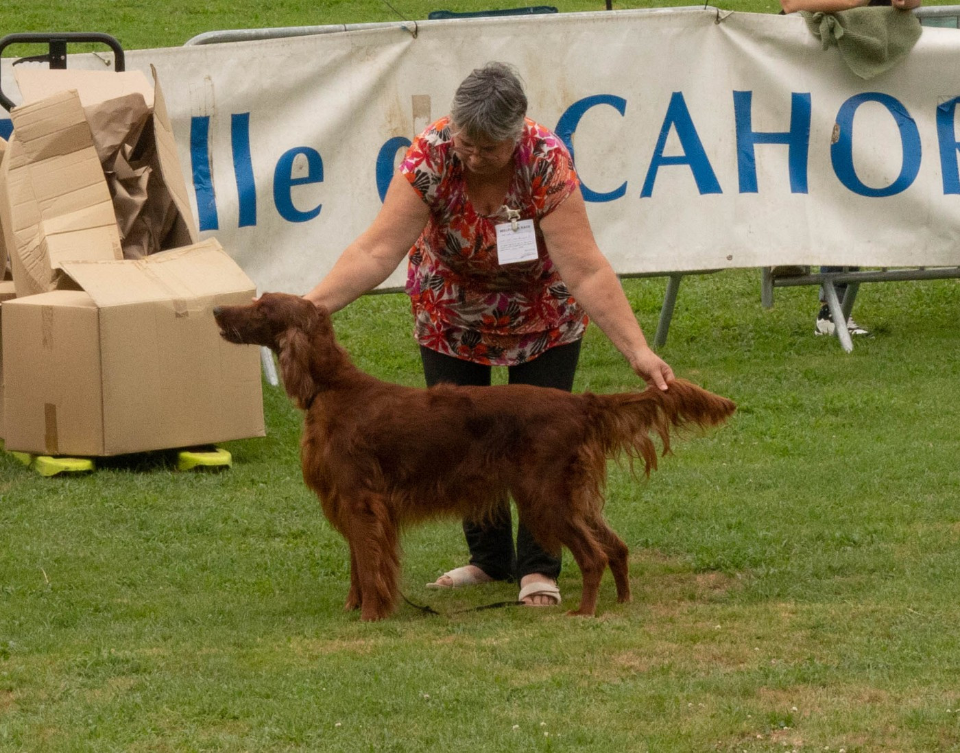 CH. R'mione pretty red witch Du Petit Bois De La Vaslière - BOB - meilleur Champion