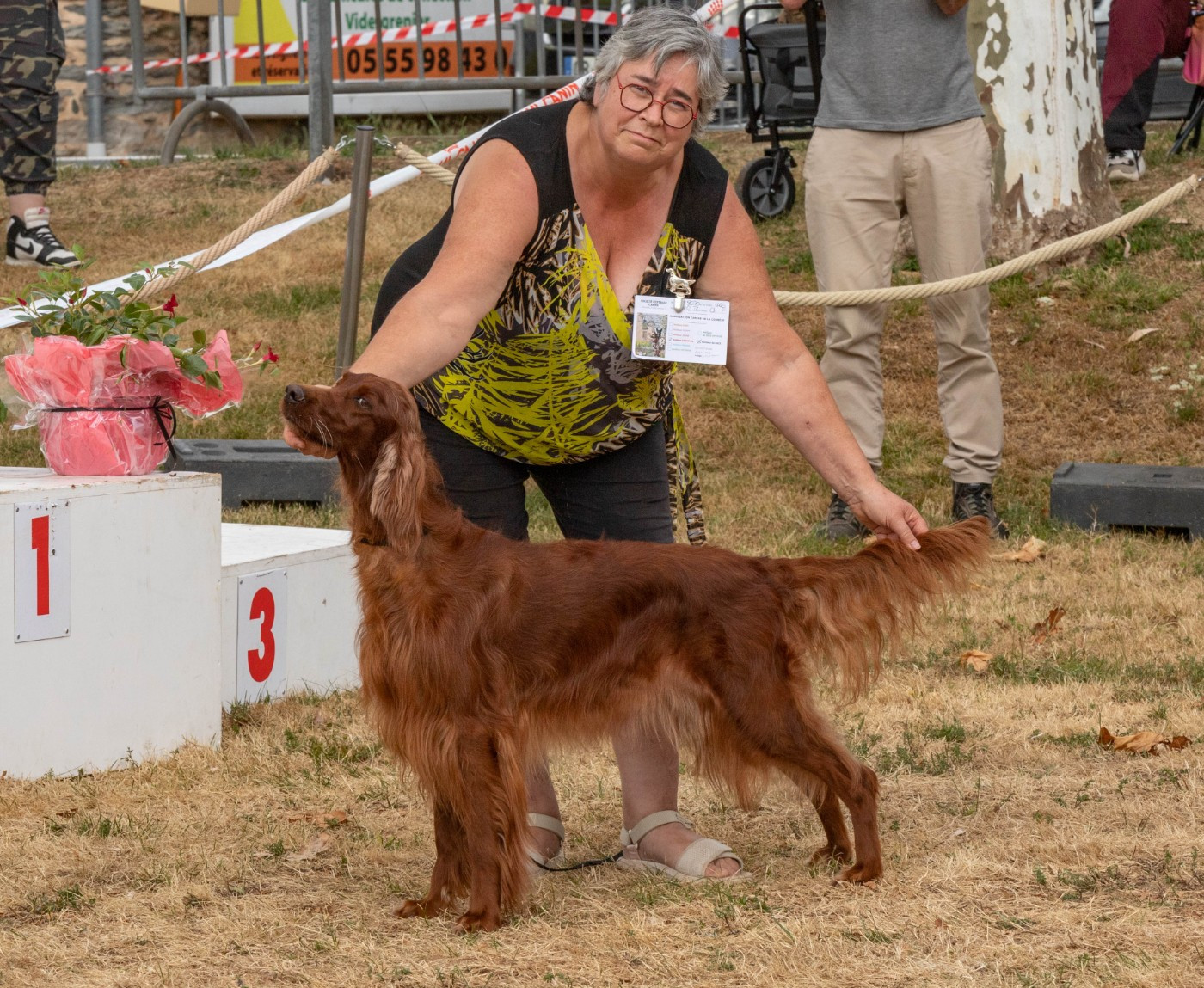 CH. R'mione pretty red witch Du Petit Bois De La Vaslière - BOB - meilleur Champion