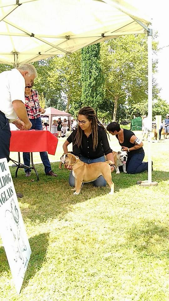 Nüba i'm a divinity Bulls Of Occitania - BABY TRES PROMETTEUR