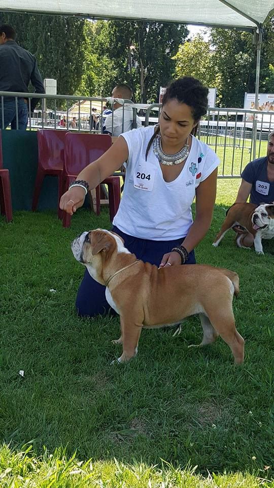 Nüba i'm a divinity Bulls Of Occitania - BABY TRES PROMETTEUR