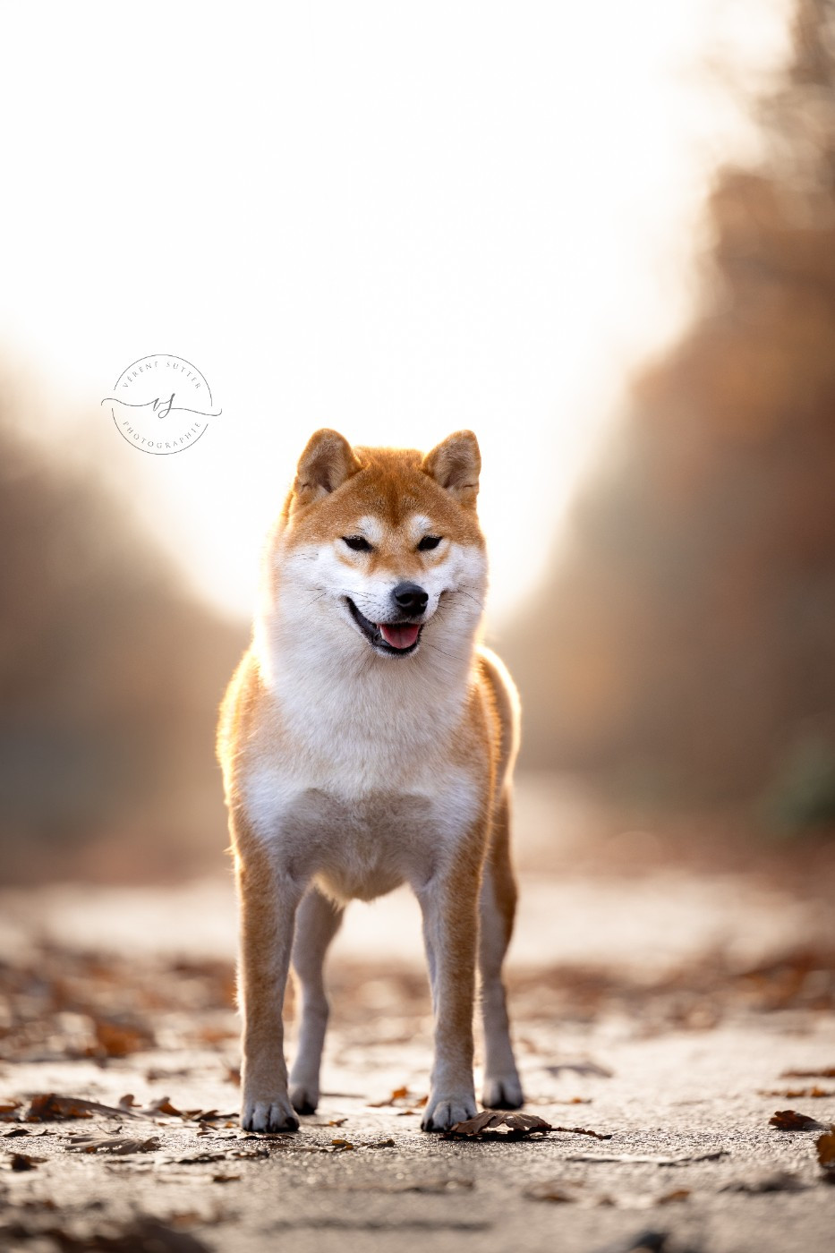 Hoxakam Vaya meet kravaddict