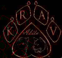 Krav Addict
