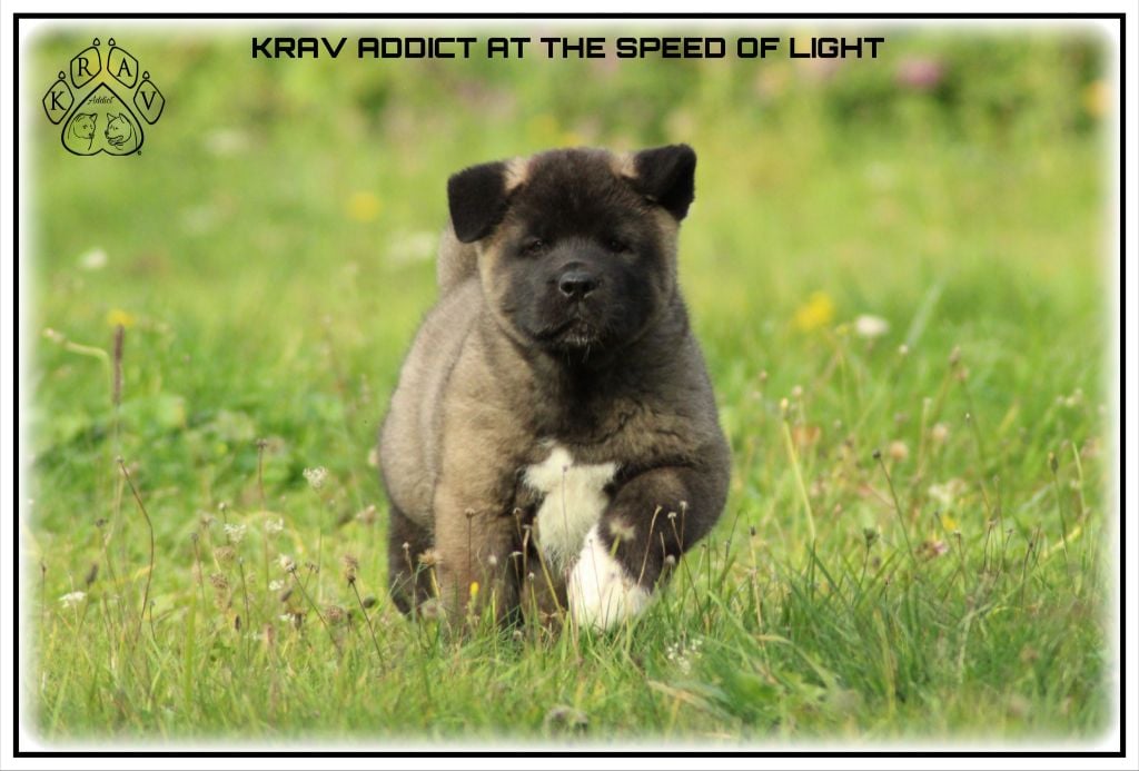 AT THE SPEED OF LIGHT