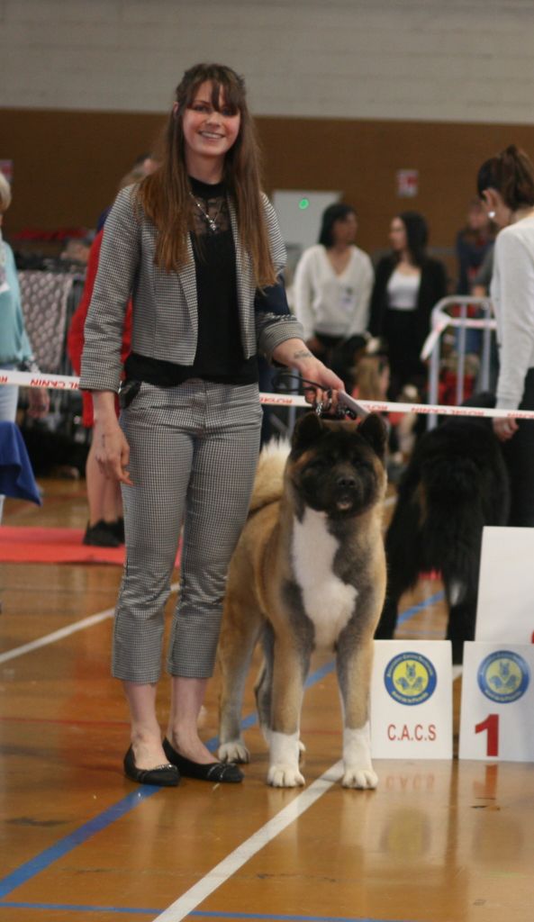 CH. Krav Addict Sunset on the beach - 1er Excellent / CACS / CACIB / BOS