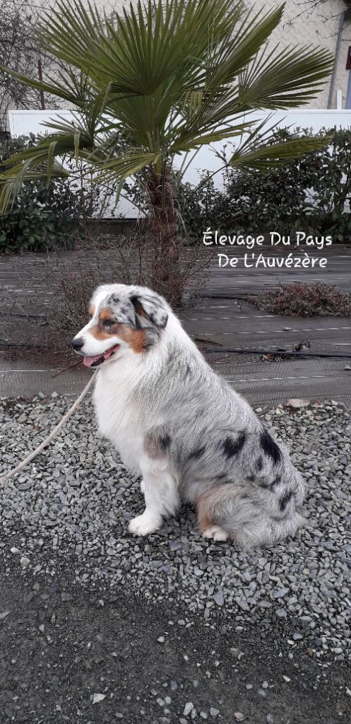 Publication : du Pays de l'Auvézère