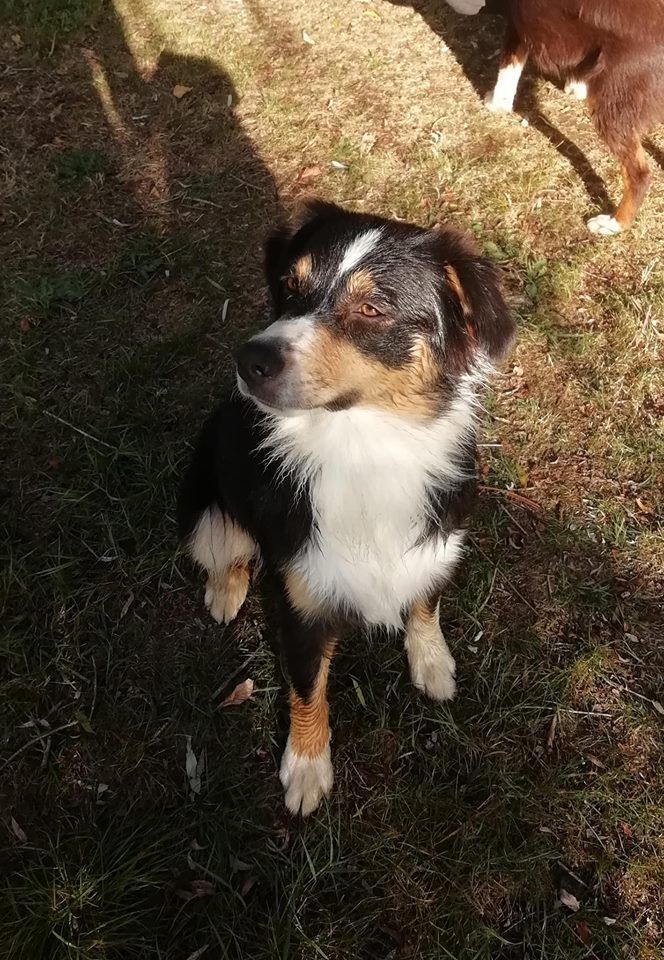 Publication : du Pays de l'Auvézère