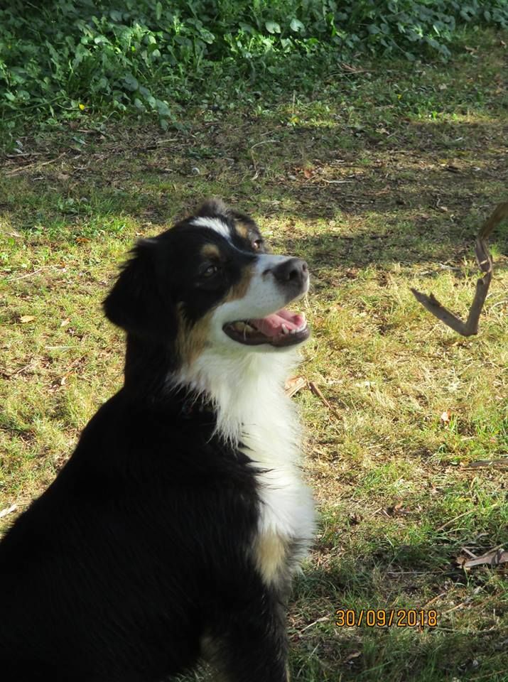 Publication : du Pays de l'Auvézère