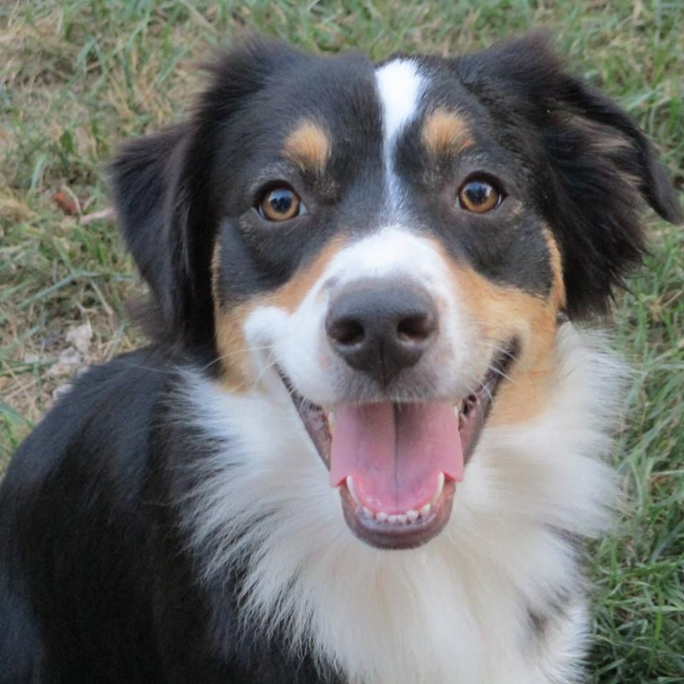 Publication : du Pays de l'Auvézère