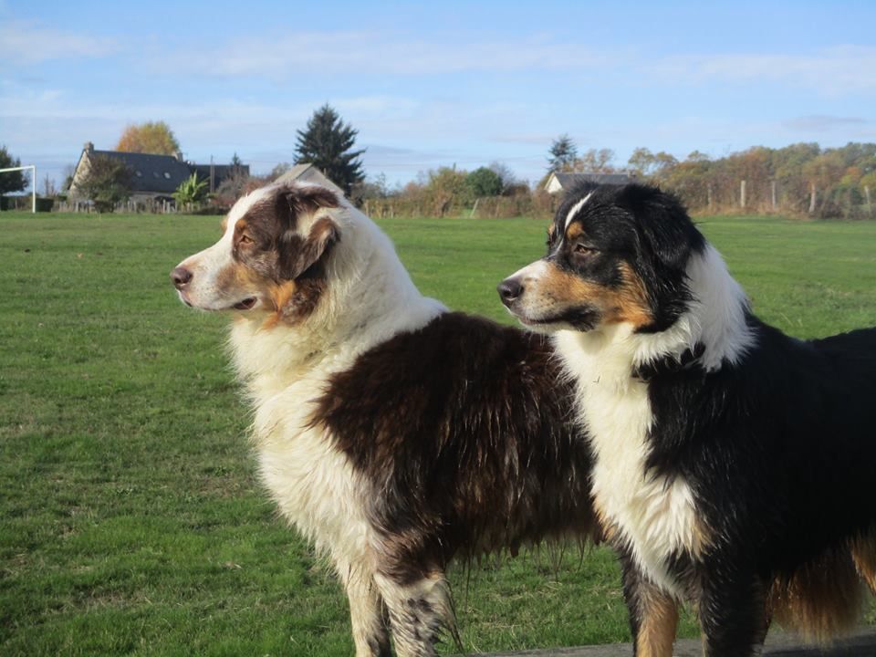 Publication : du Pays de l'Auvézère