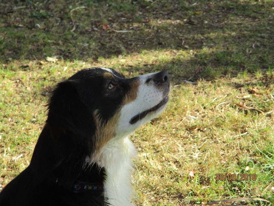 Publication : du Pays de l'Auvézère