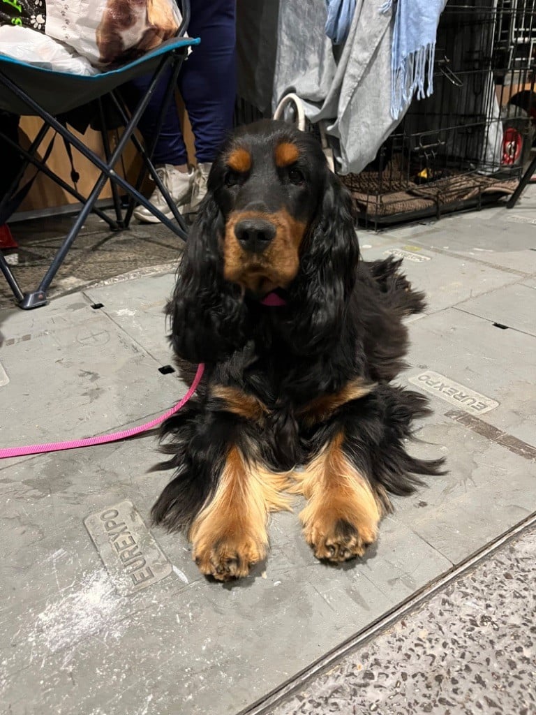 Publication : Du Domaine Des Rêves Bleus