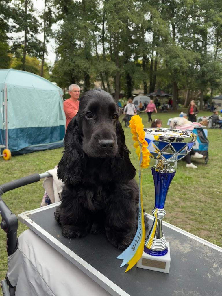 gerini's truelife Kendrick lamar - 1 très prometteur Meilleur Baby BEST IN SHOW BABY